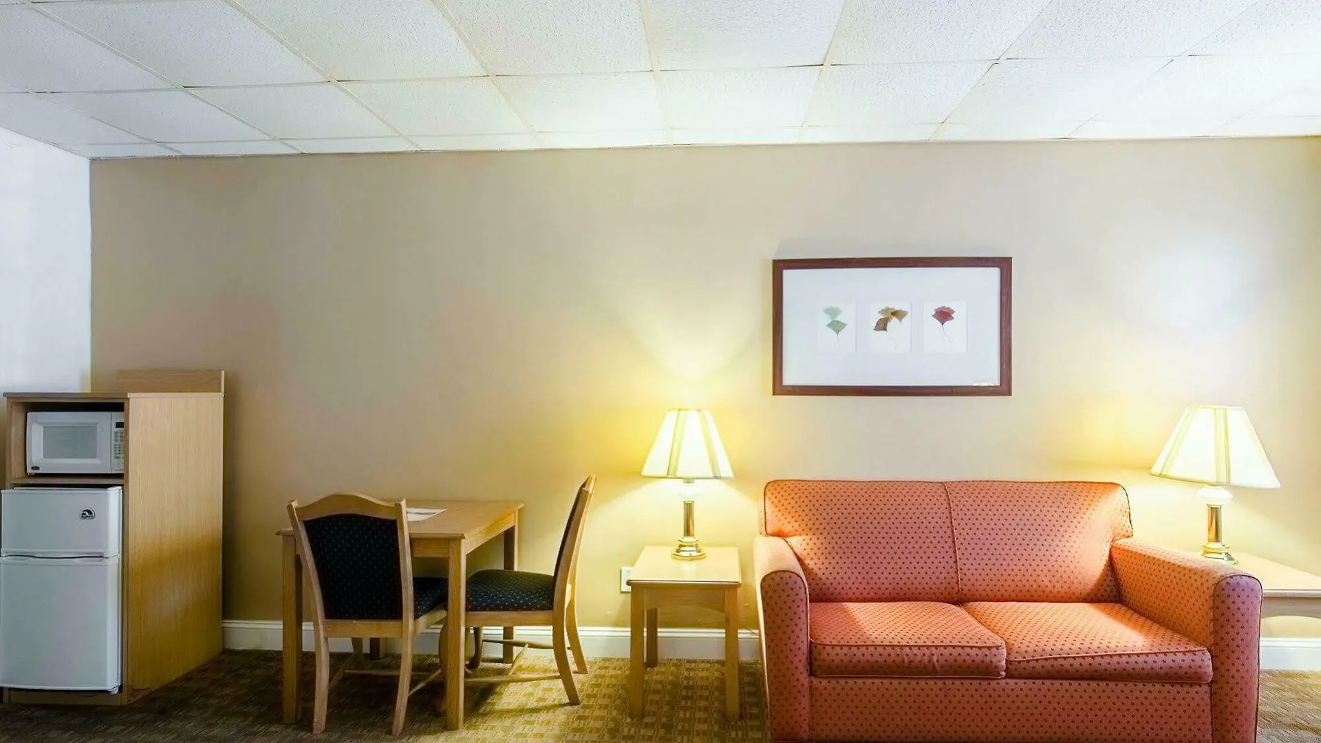 Rodeway Inn Historic Williamsburg 2*,